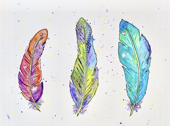 Watercolor Feathers